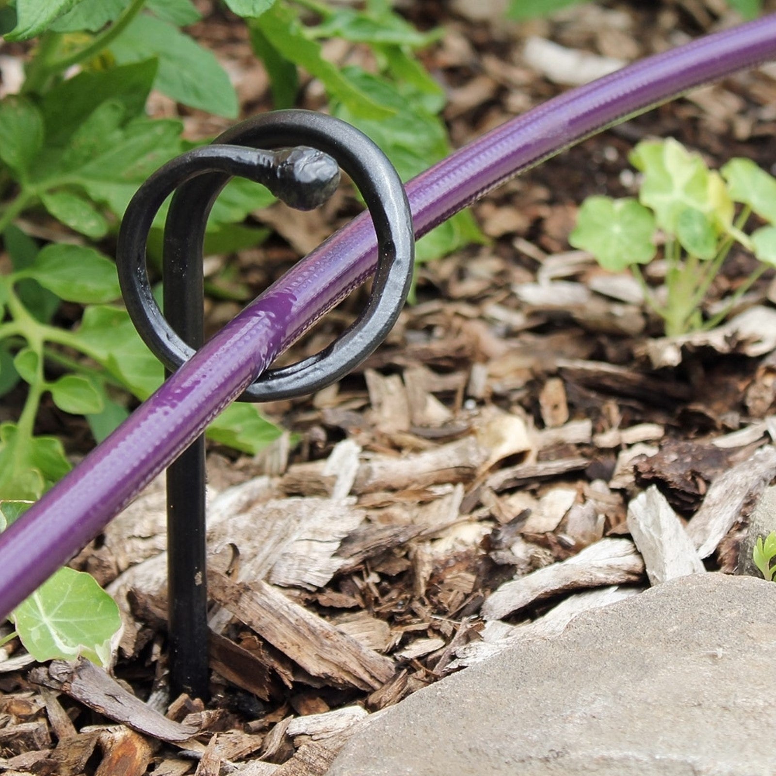 ACHLA Ball End Hose Guard 6-Pack | Wrought Iron Graphite Powdercoat | Garden Bed & Pathway Guide | 14 in H | Model HG-01-6