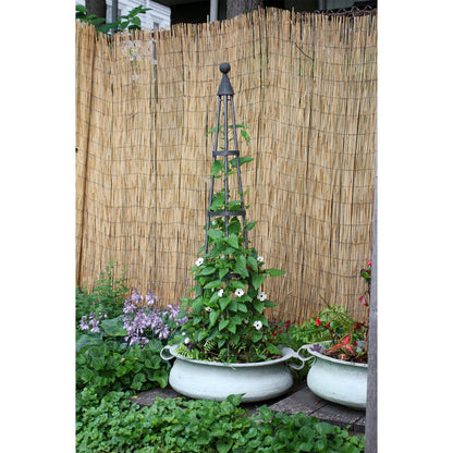 ACHLA Obelisk I 61in Garden Trellis | Wrought Iron Graphite Powder Coat | Outdoor Climbing Plant Support | 13 x 13 x 60 in | Model OBL-01