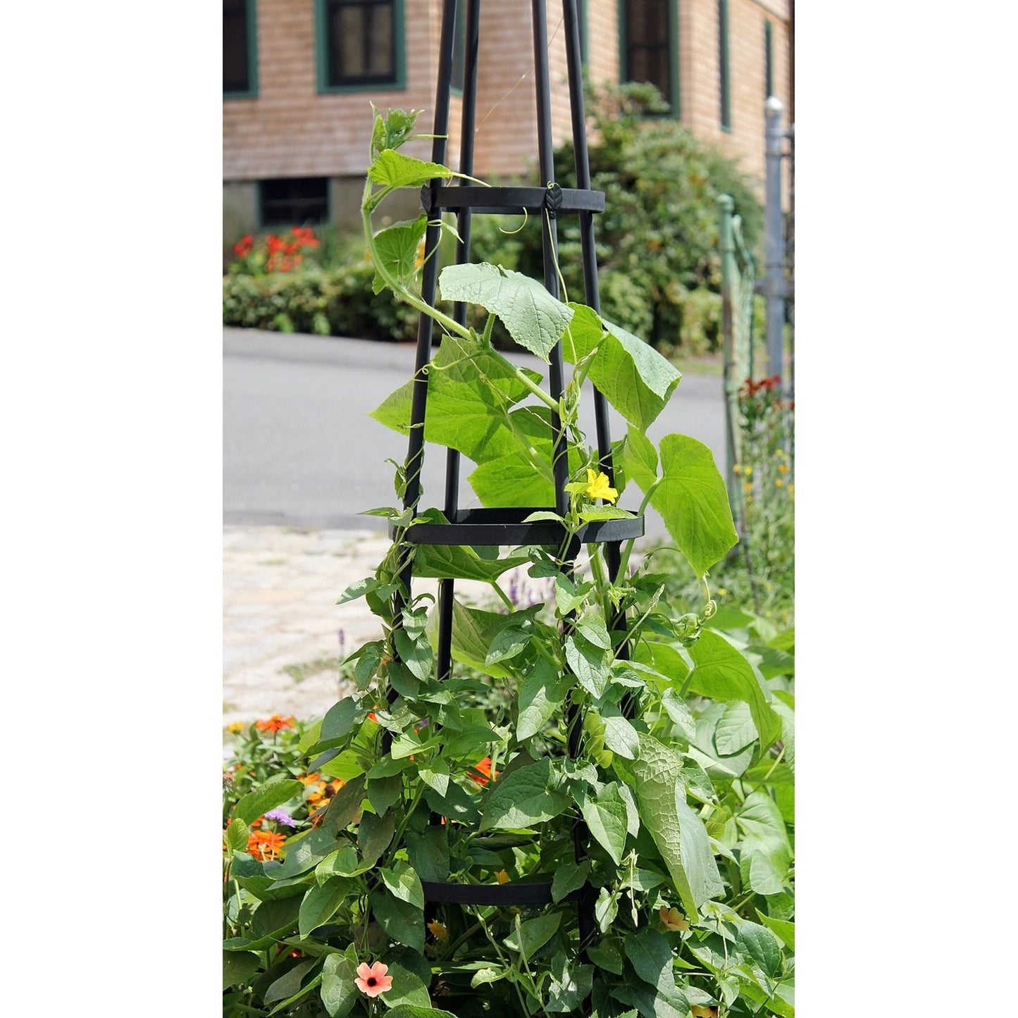 ACHLA Obelisk I 61in Garden Trellis | Wrought Iron Graphite Powder Coat | Outdoor Climbing Plant Support | 13 x 13 x 60 in | Model OBL-01