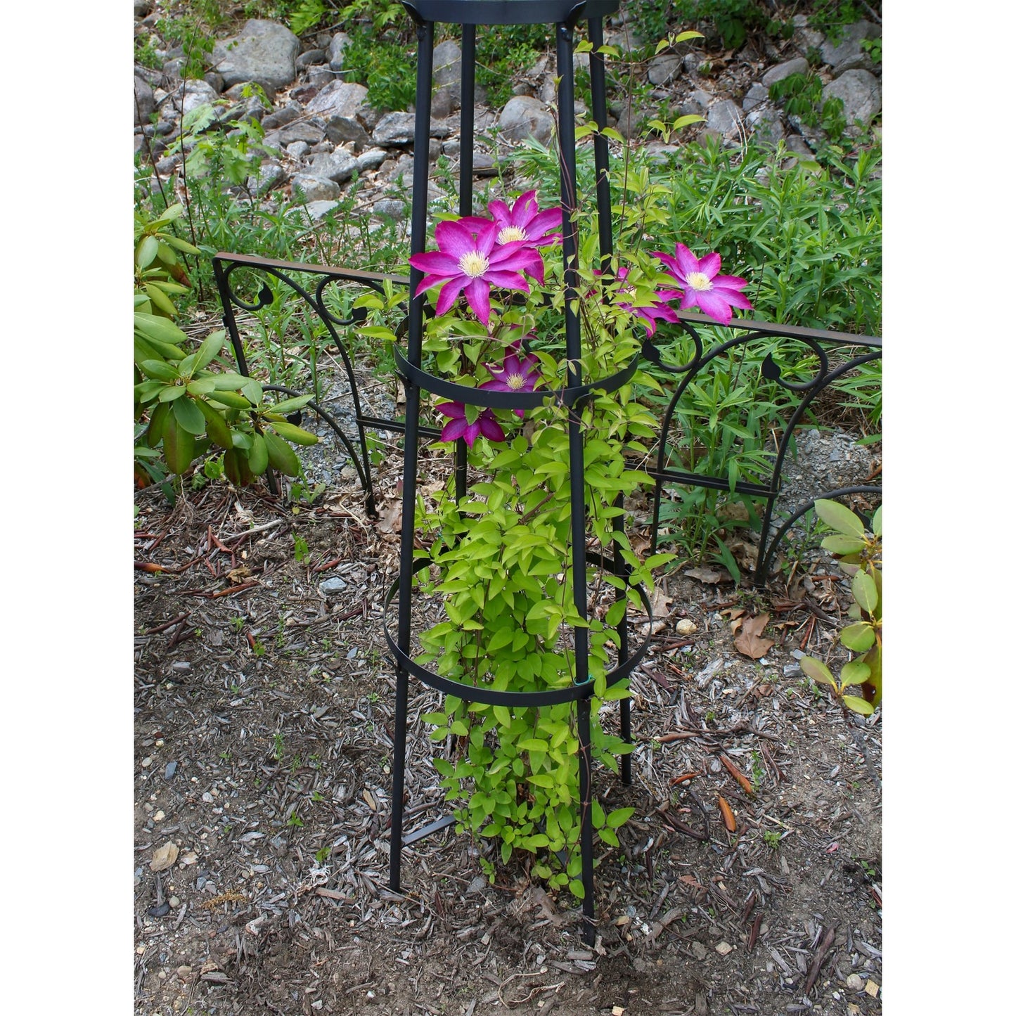 ACHLA Obelisk II 84in Garden Trellis | Wrought Iron Graphite Powder Coat | Outdoor Climbing Plant Support & Garden Decor | Model OBL-02