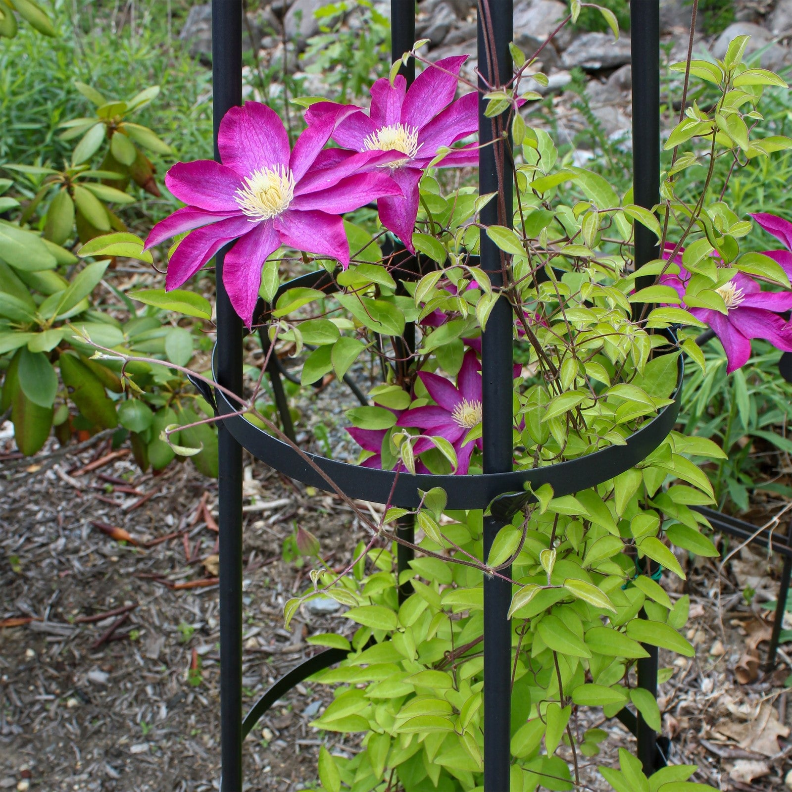 ACHLA Obelisk II 84in Garden Trellis | Wrought Iron Graphite Powder Coat | Outdoor Climbing Plant Support & Garden Decor | Model OBL-02
