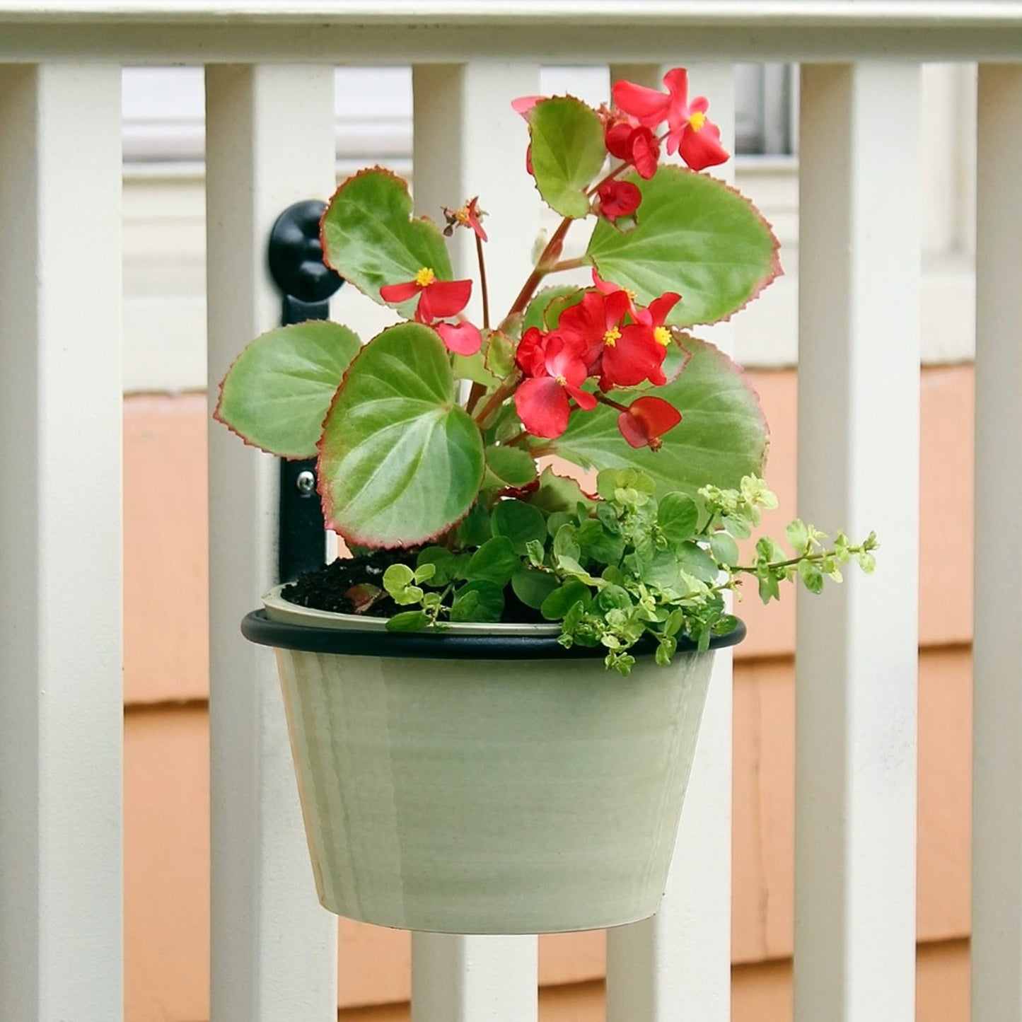 ACHLA 6in Flower Pot Ring 2-Pack | Black Powdercoat Wrought Iron | Outdoor Wall-Mounted Plant Bracket for Porch & Balcony | Model SFR-06-2