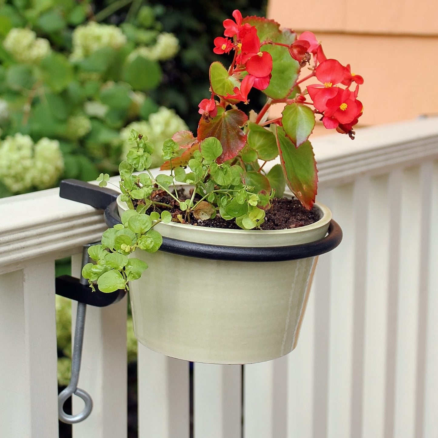 ACHLA 6in Clamp-On Flower Pot Ring 2-Pack | Wrought Iron Black Powdercoat | Porch, Balcony & Deck Railing Planter | 6 x 6 x 2 in | Model SFR-06C-2