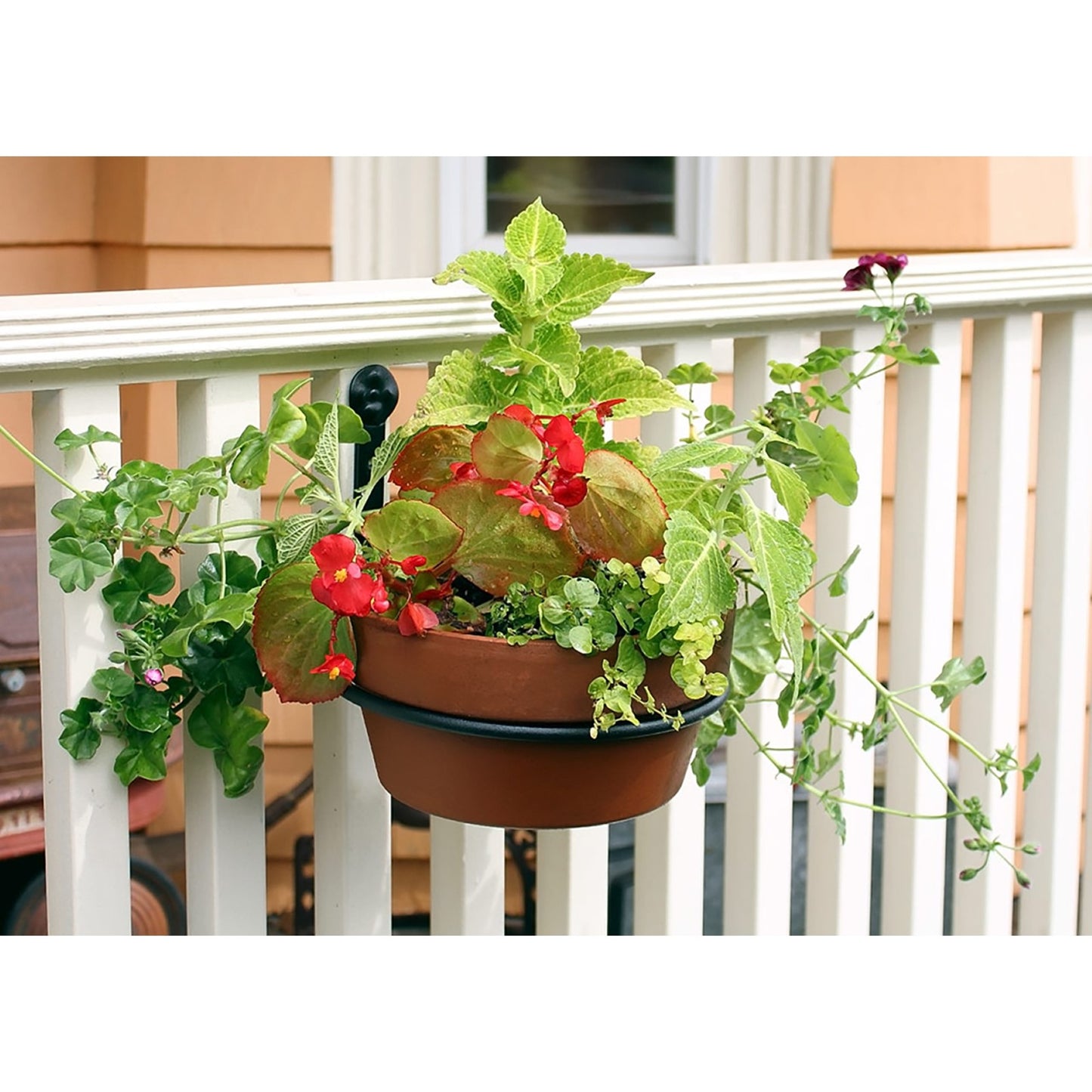 ACHLA 8in Flower Pot Ring 2-Pack | Black Wrought Iron Wall-Mounted Planter Bracket | Porch, Balcony & Deck Vertical Garden | Model SFR-08-2