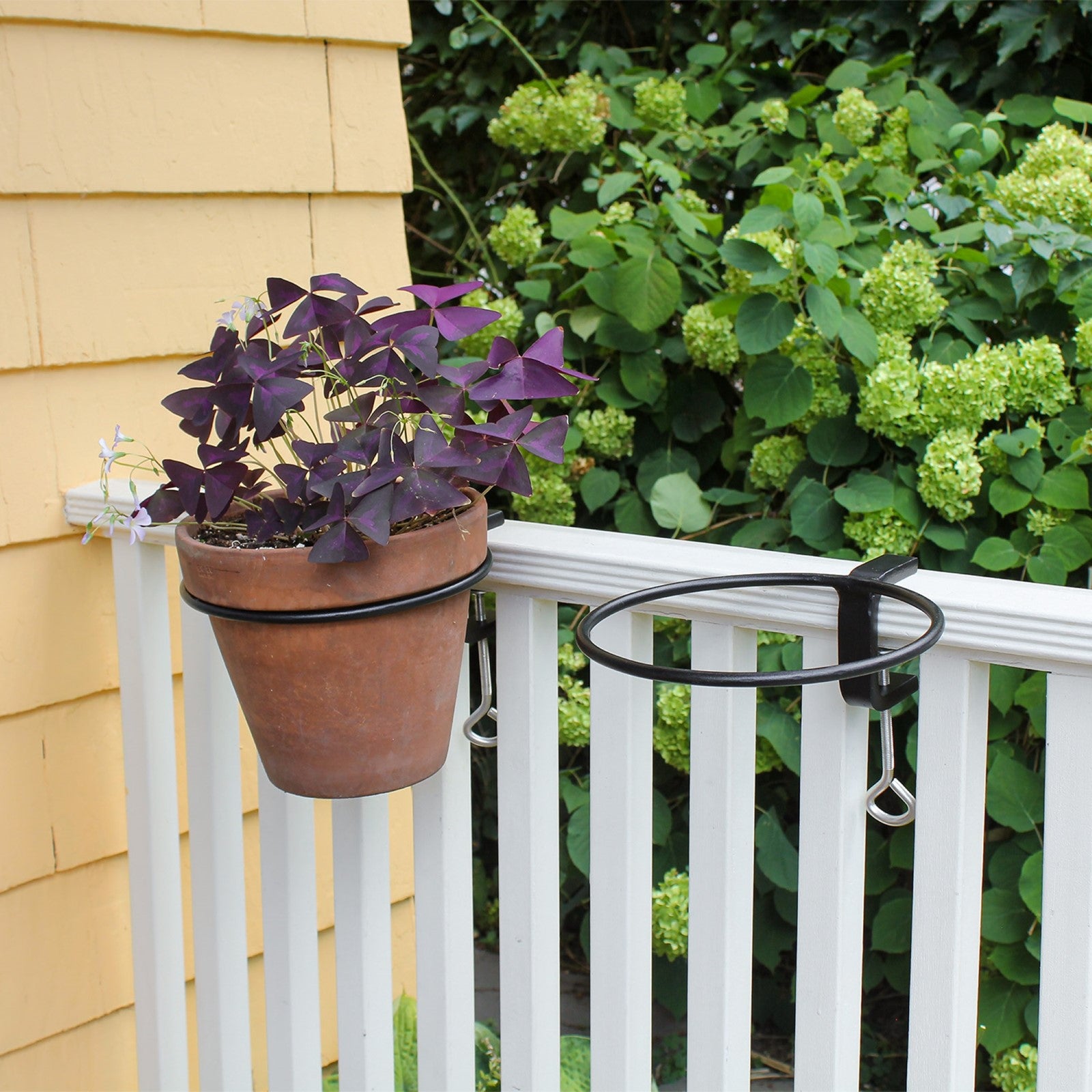 ACHLA 8in Clamp-On Flower Pot Ring 2-Pack | Black Powdercoat Wrought Iron | Porch, Balcony & Deck Railing Plant Bracket | Model SFR-08C-2