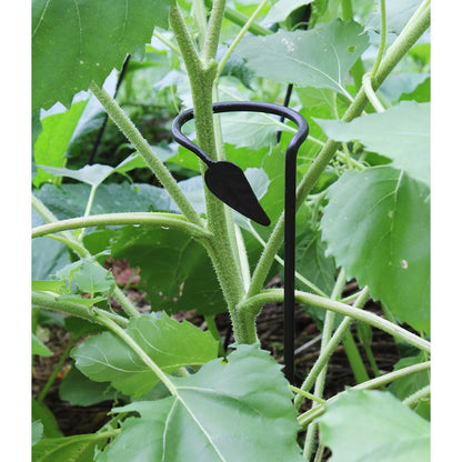ACHLA Plant Stake 6-Pack | Black Powdercoat Wrought Iron | Garden & Indoor Plant Support | 4in Loop x 40in H | Model SFT-04-6