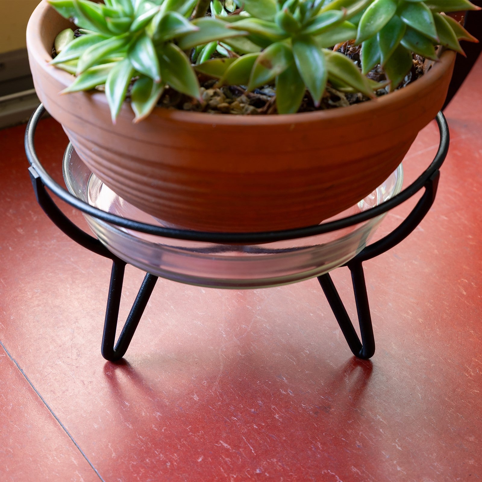 ACHLA Small Glass Terrarium Tray | Clear Glass Saucer | Plant Pot Drip Tray & Tabletop Decor | 8.75 x 8.75 x 1.5 in | Model TRY-01