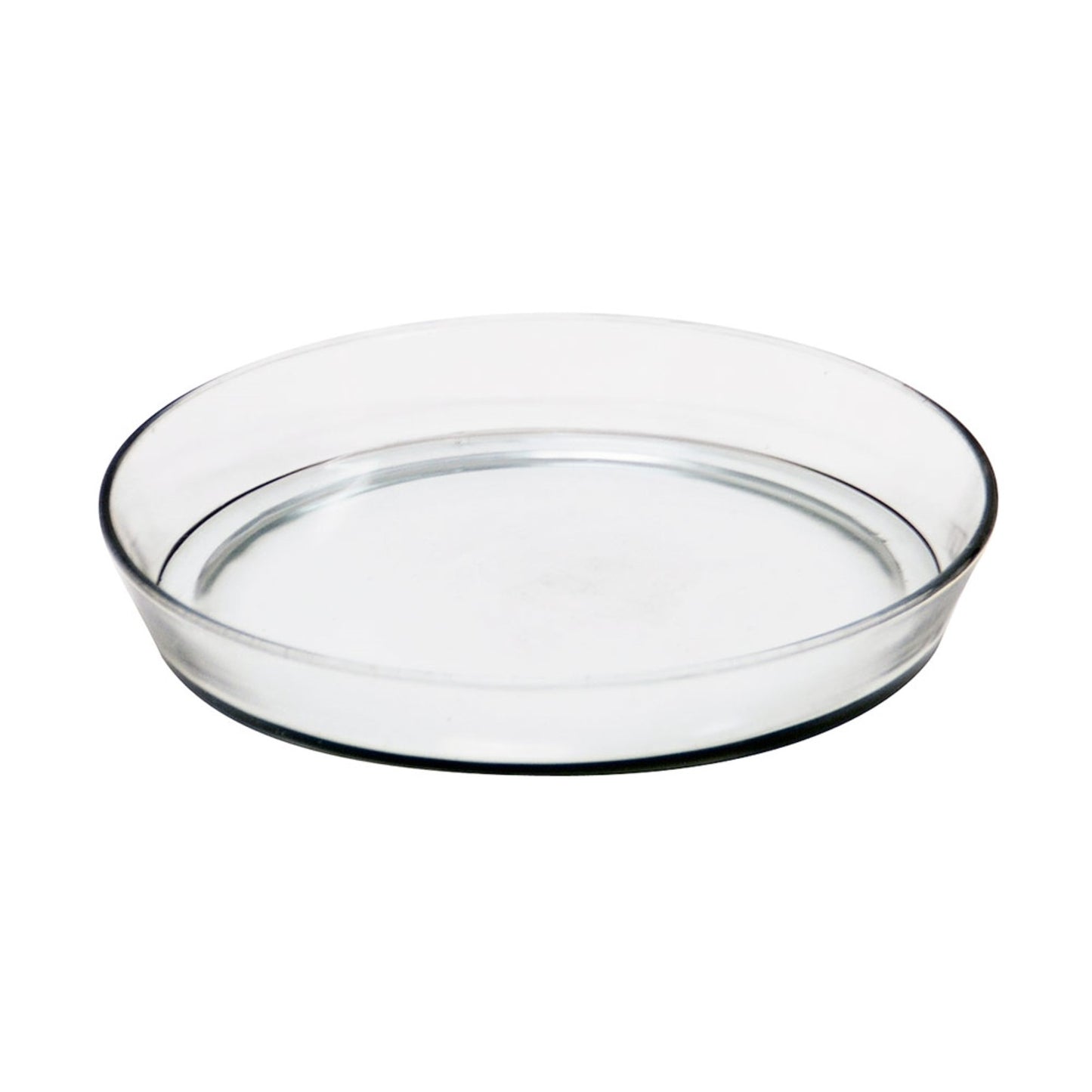 ACHLA Large Glass Terrarium Tray | 10.5 in Round Clear Glass Saucer | Indoor Plant & Succulent Catch Tray | 10.5 x 10.5 x 1.5 in | Model TRY-02