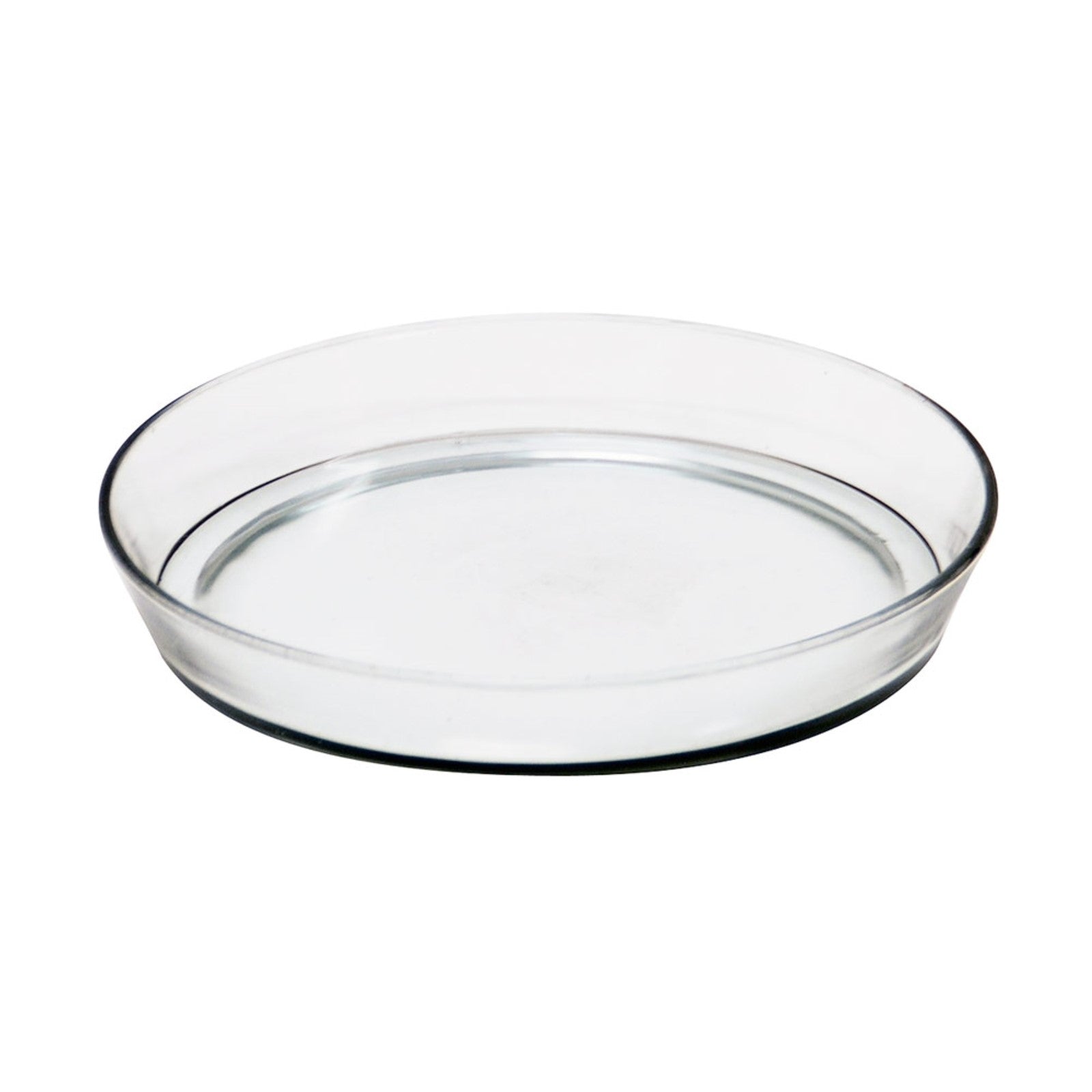 ACHLA Large Glass Terrarium Tray | 10.5 in Round Clear Glass Saucer | Indoor Plant & Succulent Catch Tray | 10.5 x 10.5 x 1.5 in | Model TRY-02