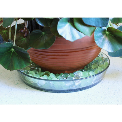 ACHLA Large Glass Terrarium Tray | 10.5 in Round Clear Glass Saucer | Indoor Plant & Succulent Catch Tray | 10.5 x 10.5 x 1.5 in | Model TRY-02