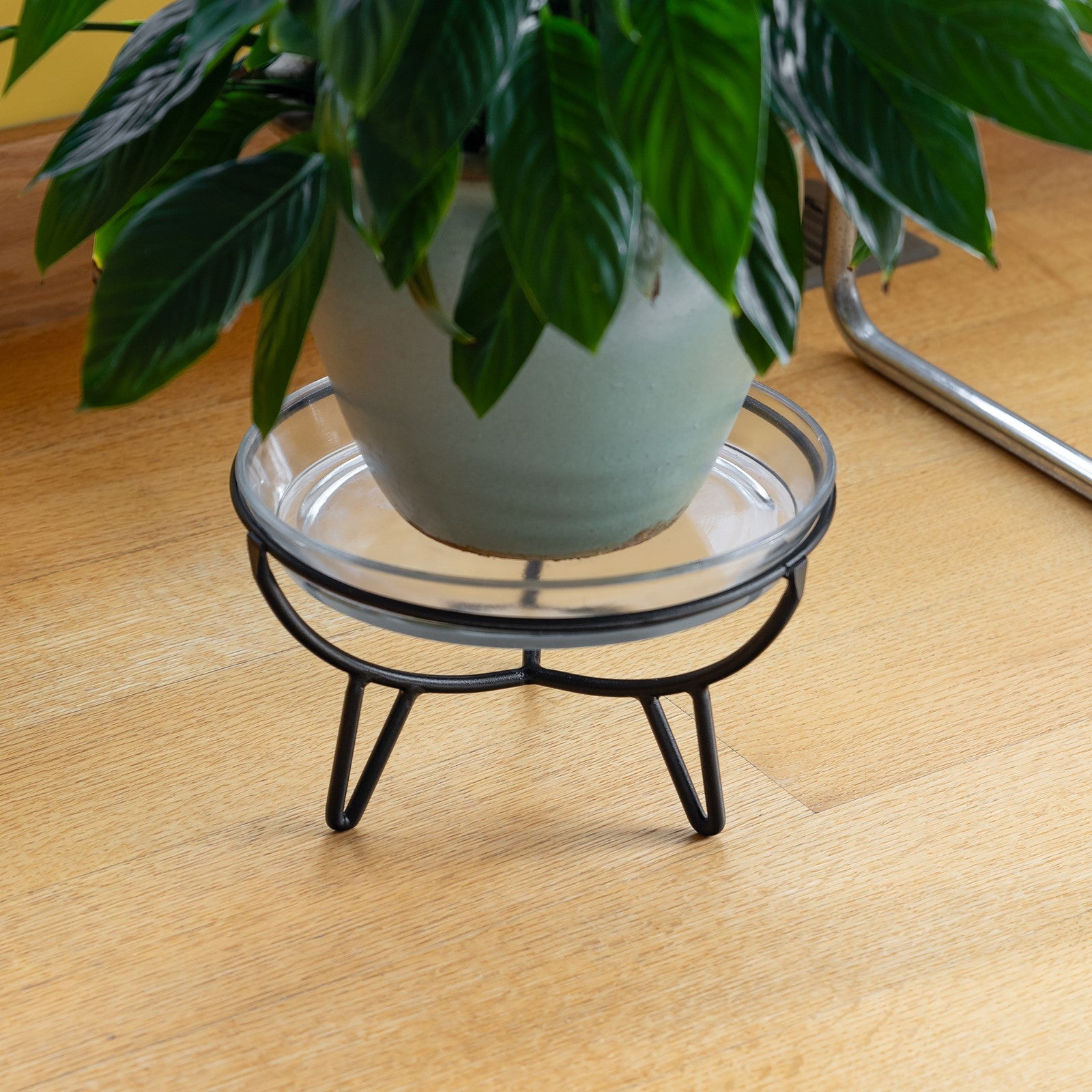 ACHLA Large Glass Terrarium Tray | 10.5 in Round Clear Glass Saucer | Indoor Plant & Succulent Catch Tray | 10.5 x 10.5 x 1.5 in | Model TRY-02