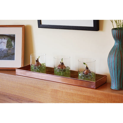 ACHLA Long Tray 20in | Polished Copper Stainless Steel Serving Tray | Kitchen Counter & Windowsill Plant Tray | 20 x 5 x 2 in | Model TRY-C20