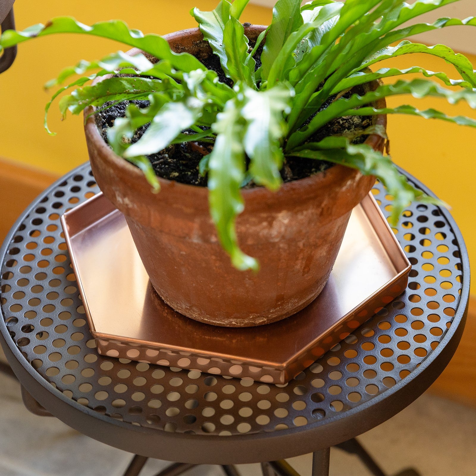 ACHLA Hexagonal Trays Set of 3 | Copper Plated Stainless Steel | Serving & Plant Tray for Kitchen, Coffee Table & Patio | 9 x 8 x 1 in | Model TRY-H9