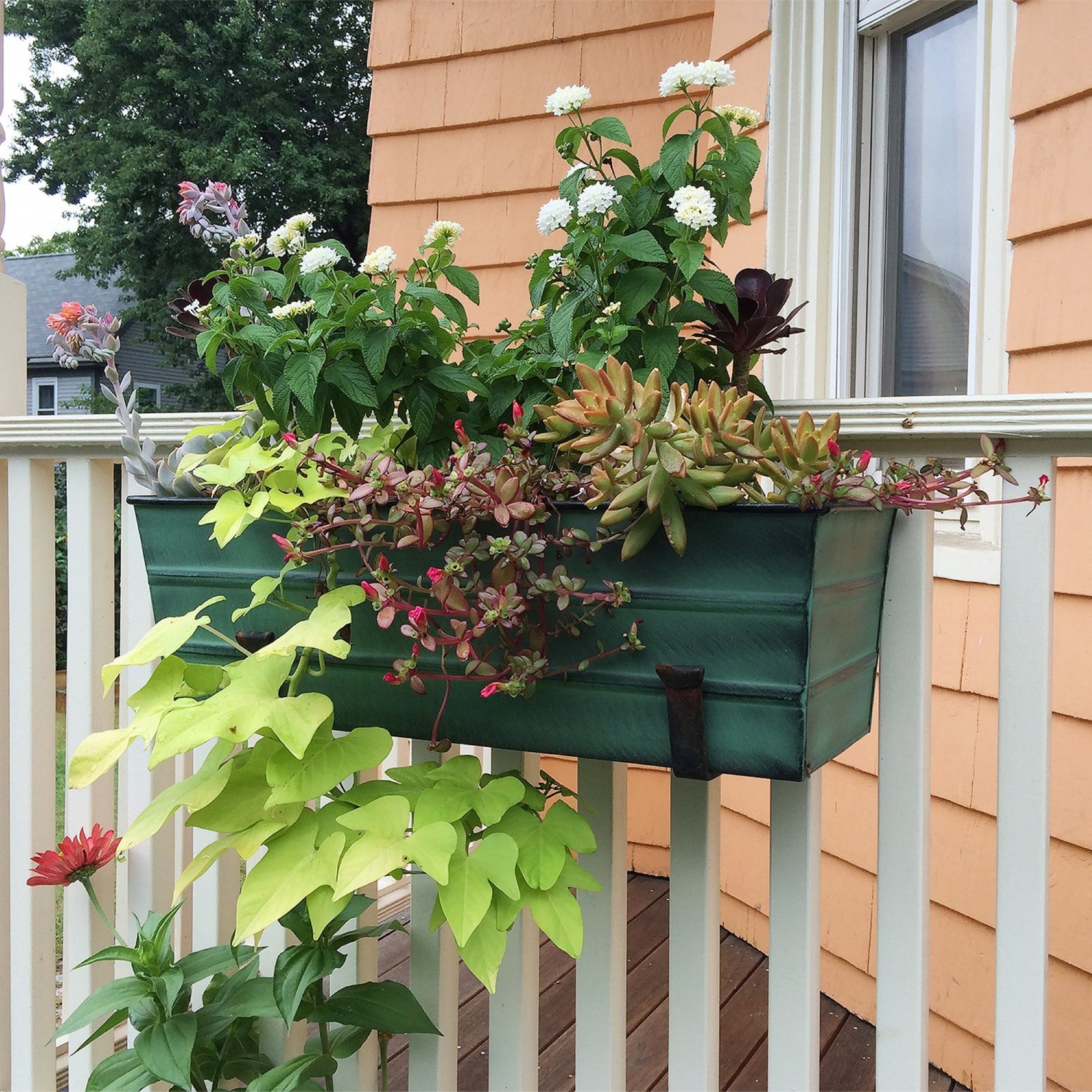 ACHLA Medium Flower Box with Wall Brackets | Green Patina Galvanized Steel and Black Wrought Iron | Front Porch & Balcony Planter | Model VFB-05-WM