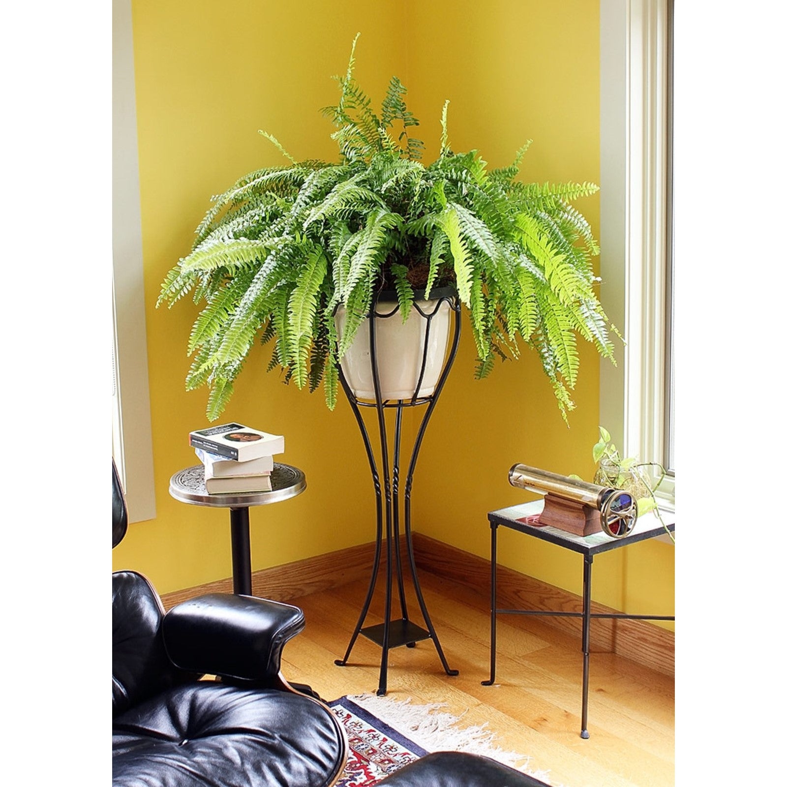 ACHLA Verandah Plant Stand | Graphite Wrought Iron | Indoor & Outdoor Display | 13.5 x 13.5 x 40.5 in | Model VPS-04