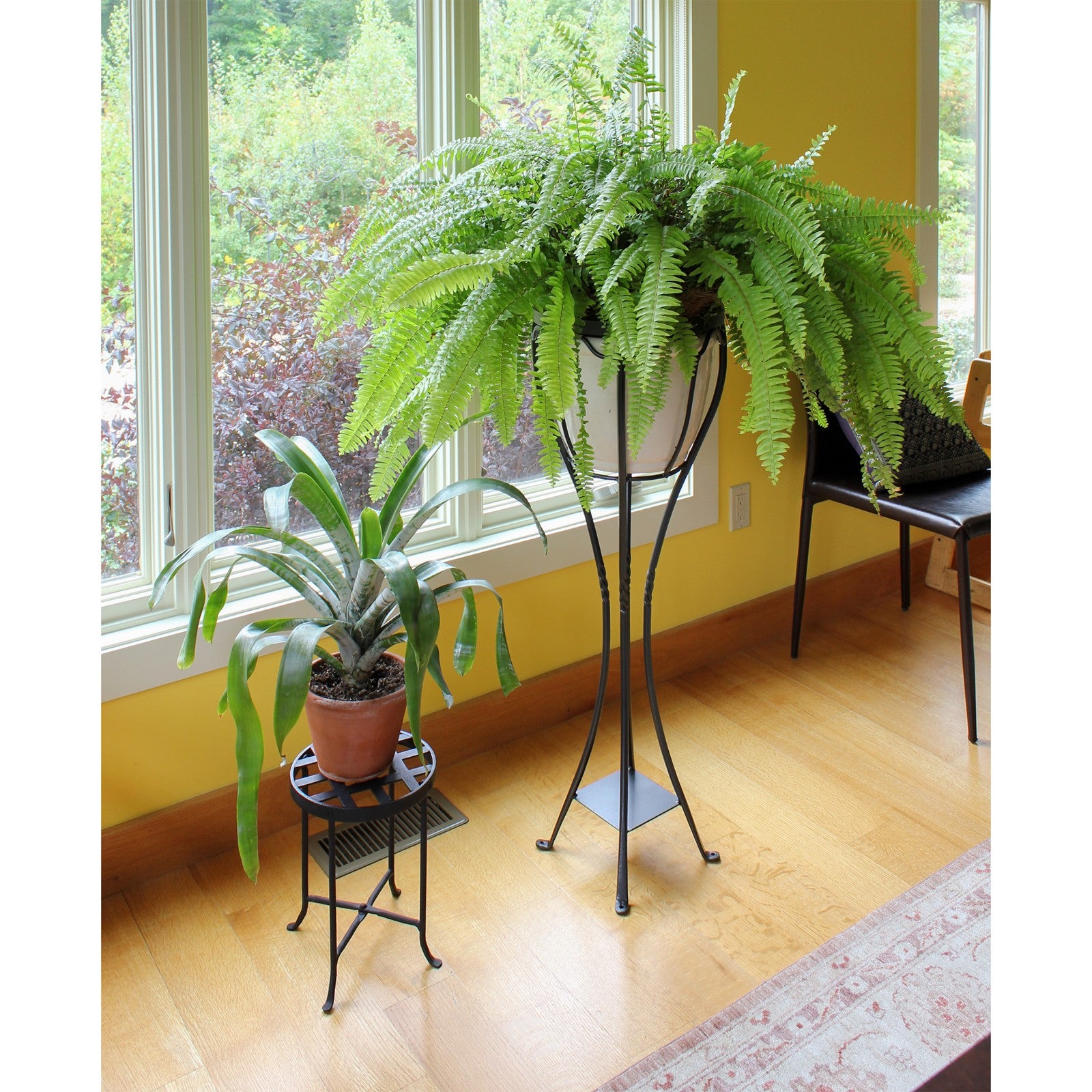 ACHLA Verandah Plant Stand | Graphite Wrought Iron | Indoor & Outdoor Display | 13.5 x 13.5 x 40.5 in | Model VPS-04