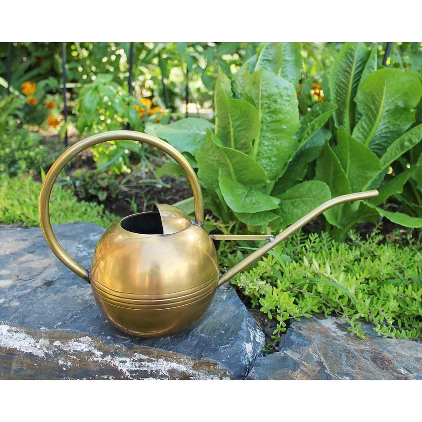 ACHLA Brass Watering Can 14in | Antique Brass Finish Metal | Garden & Indoor Plant Care | 14 x 8 x 9 in | Model WC-01