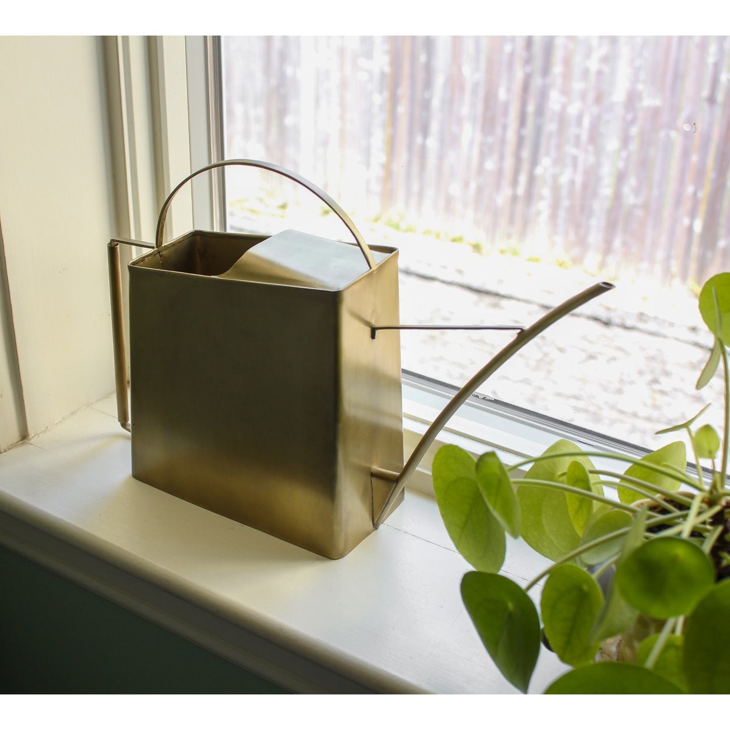 ACHLA Windowsill Watering Can 13in | Brushed Brass Solid Metal | Indoor Plant & Terrarium Watering | Model WC-08
