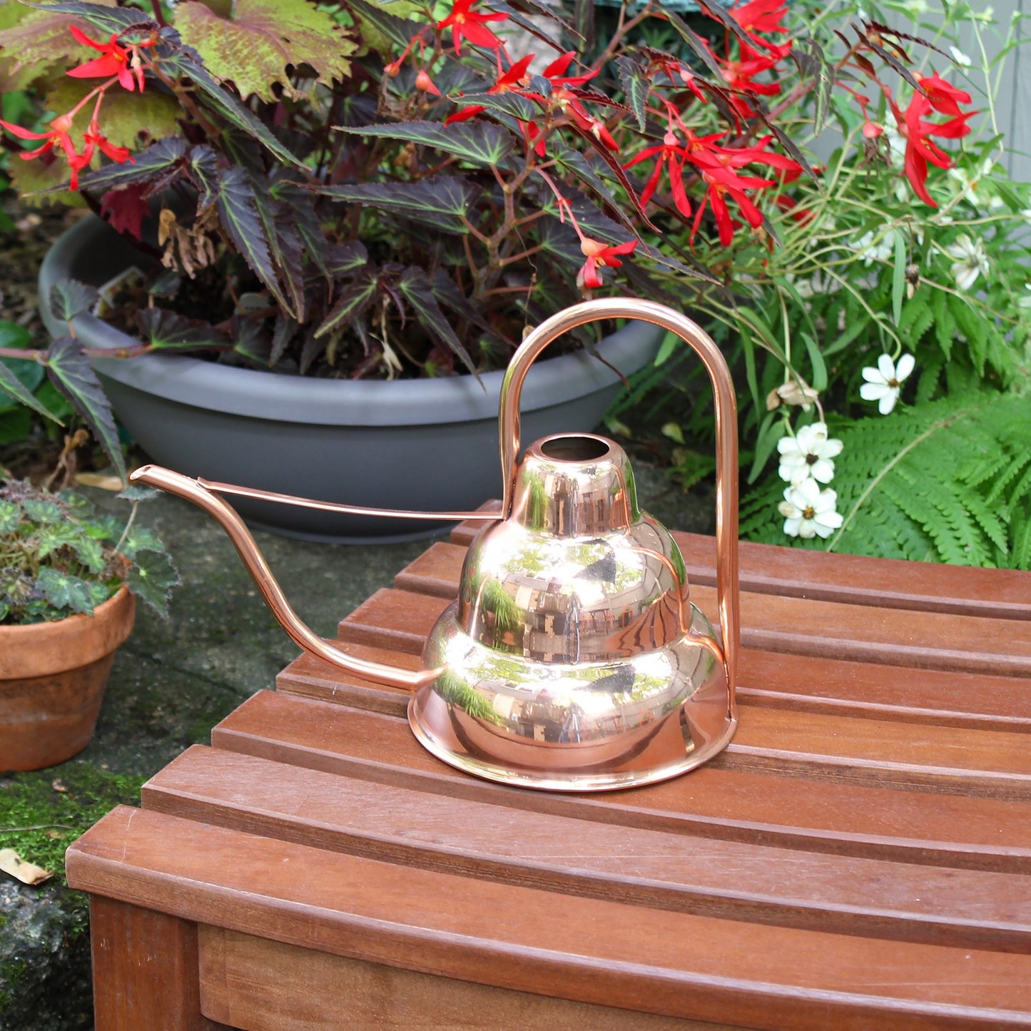 ACHLA Deco Watering Can | Copper Plated Stainless Steel | Indoor Plant Watering & Retro Decor | 8.25 in H, 1 Quart | Model WC-17