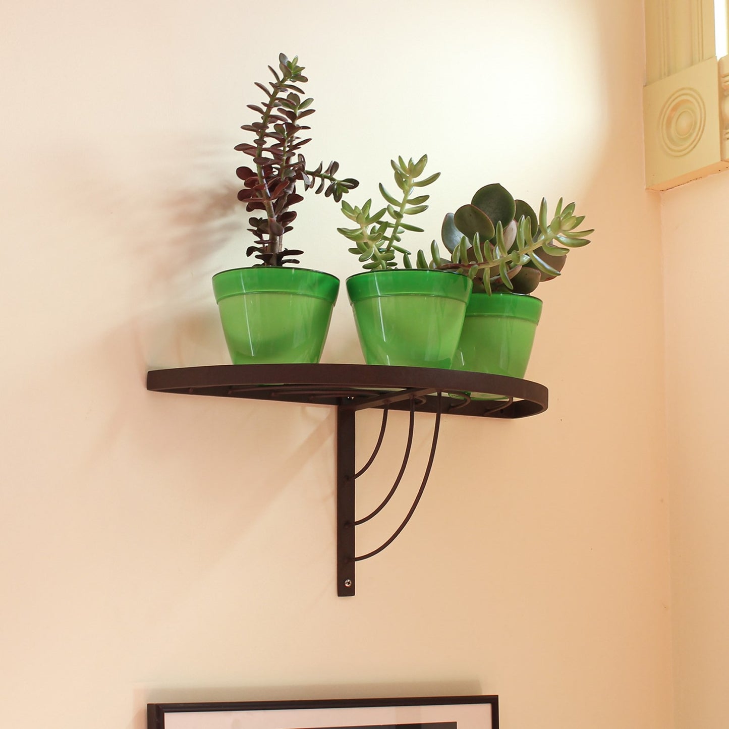 ACHLA Vita Half-Round Wall Shelf | Roman Bronze Wrought Iron | Kitchen & Bathroom Plant Display | 18 x 8 x 9 in | Model WS-01Z