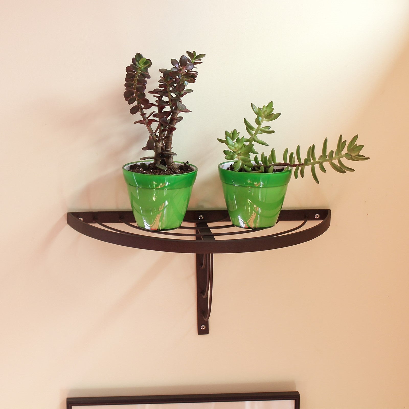 ACHLA Vita Half-Round Wall Shelf | Roman Bronze Wrought Iron | Kitchen & Bathroom Plant Display | 18 x 8 x 9 in | Model WS-01Z