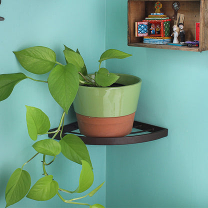 ACHLA Vita Corner Wall Shelf | Roman Bronze Wrought Iron | Indoor Plant Display for Kitchen, Bathroom & Porch | 11.75 x 8.25 x 3.25 in | Model WS-02Z