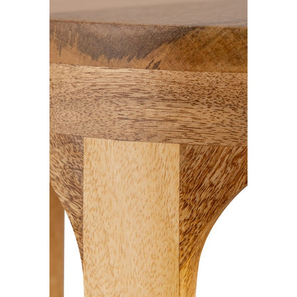 Canarm Lane 20in Side Table | Mango Wood | Living Room & Bedroom Accent Table | 10 x 20 in | Model BAC-AST012
