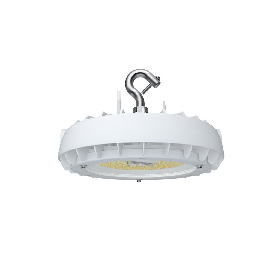 Canarm Highbay 100W LED Light | White Finish | Warehouse & Gym | 5000K, Damp/Wet Rated | Model HBLED-PT100W5000