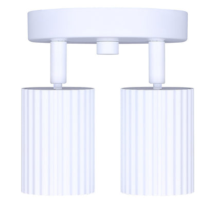 Canarm Rexton 5.5in 2-Light Track Lighting | Matte White Steel | Kitchen & Office | 5.5 x 5 x 5.75 in | Model ICW1119A02WH10