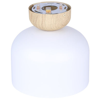 Canarm Caleb 9in 1-Light Flush Mount | Modern Matte White and Natural Wood Accent | Bedroom & Hallway | 9 x 9 x 8 in | Model IFM1152A09WHW