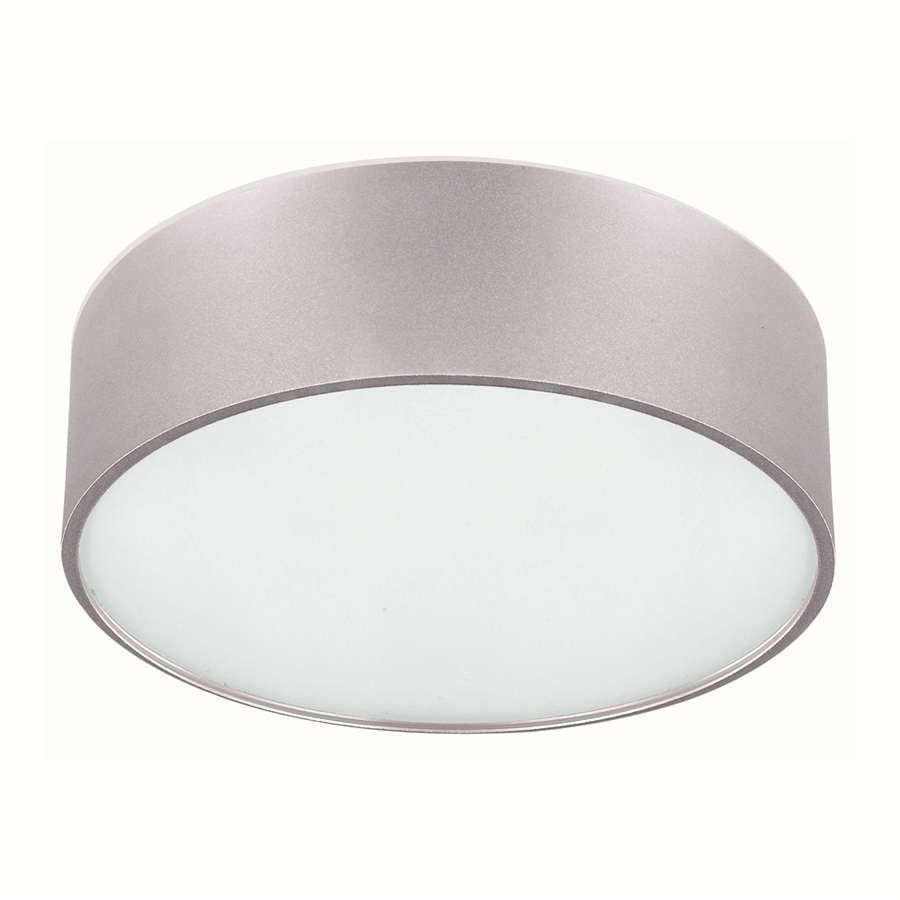 Canarm Dexter 13in 2-Light Flush Mount | Modern Aluminum and Frosted Glass | Hallway & Bathroom Ceiling Light | 13 x 13 x 5.25 in | Model IFM318A13AL