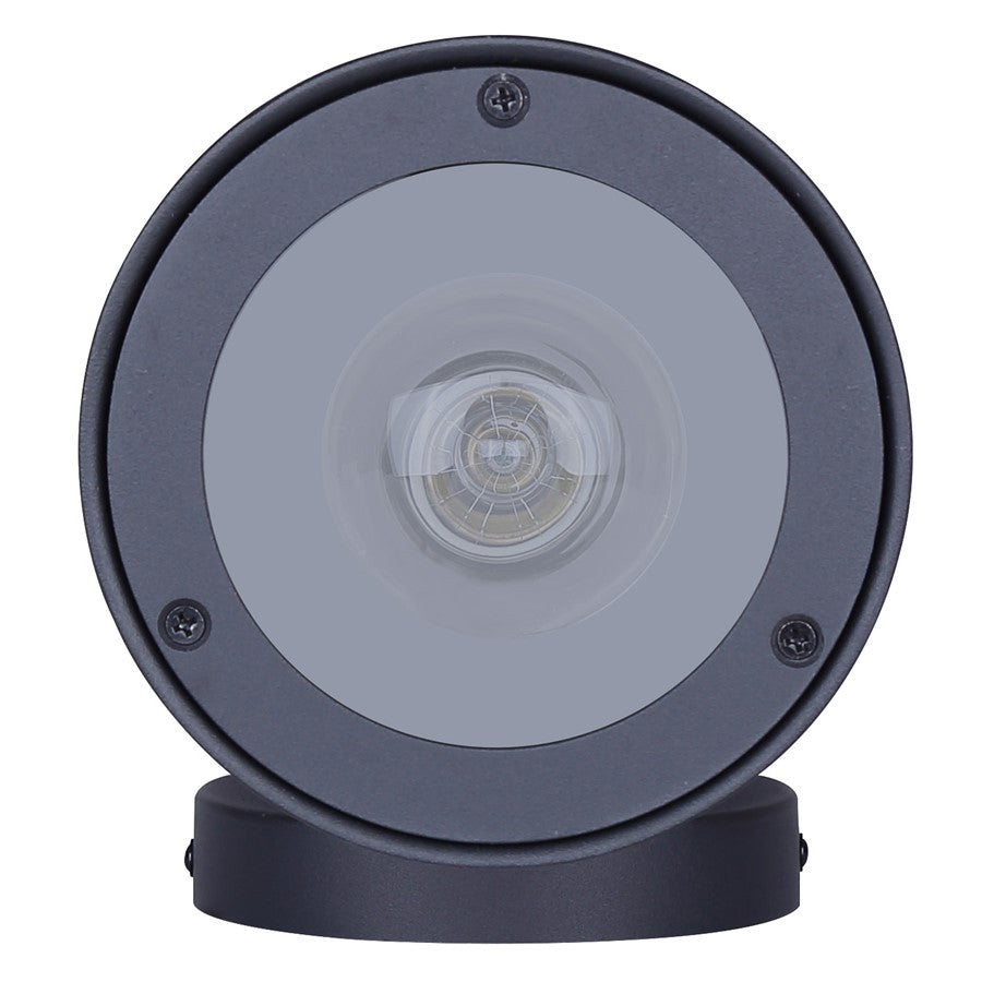 Canarm Arona 6in 2-Light Outdoor Lantern | Matte Black and Clear Glass | Entryway & Patio | 5.5 x 6.63 x 16.25 in | Model IOL658BK