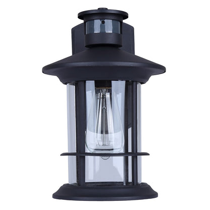 Canarm Dakota 12in 1-Light Outdoor Lantern | Modern Black Metal and Clear Glass | Entryway & Patio | 9.25 x 8 x 12.5 in | Model IOL717BK