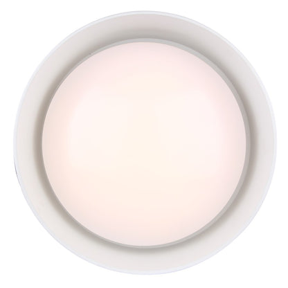 Canarm Adira 14in LED Flush Mount | White Metal and Acrylic | Hallway & Bathroom Ceiling Light | 1000 Lumens, 3000K, Dimmable | Model LFM177A14WH