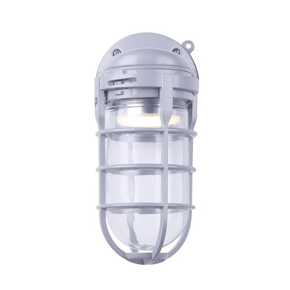 Canarm 7in 1-Light LED Outdoor Security Light | Modern Grey and Clear Glass | Entryway & Garage | 7 x 4.25 x 10 in | Model LOL392GY