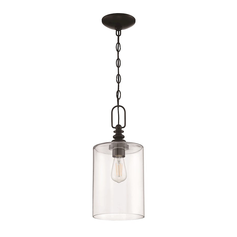 1 Light Mini Pendant