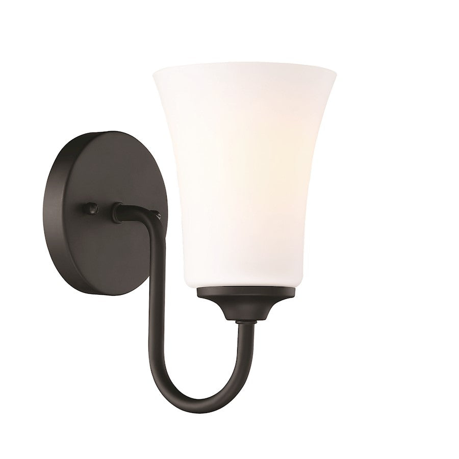 1 Light Wall Sconce