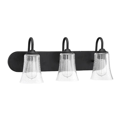 Bathroom Vanity Light
