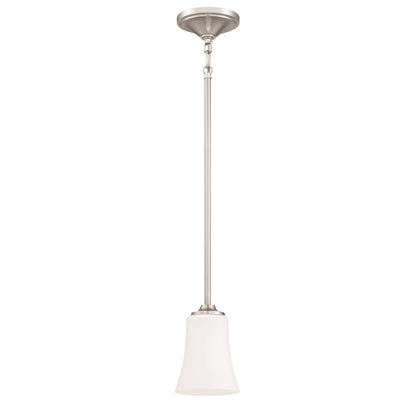 1 Light Mini Pendant