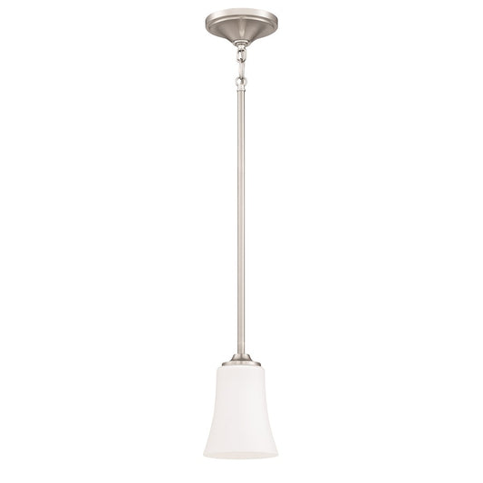 1 Light Mini Pendant