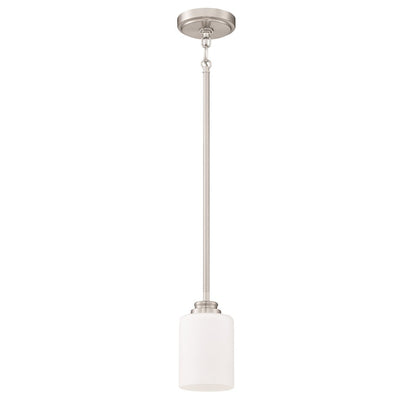 1 Light Mini Pendant