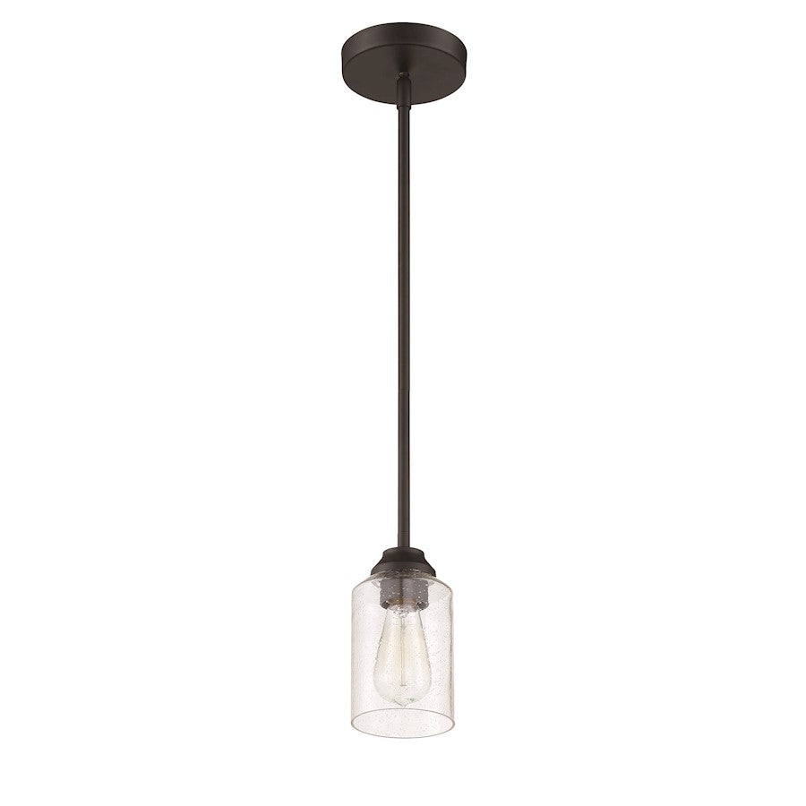 1 Light Mini Pendant