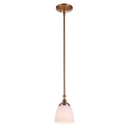 1 Light Mini Pendant