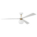 Craftmade Otto 1 Light 60" Ceiling Fan, White/Satin Brass - OTT60WSB3