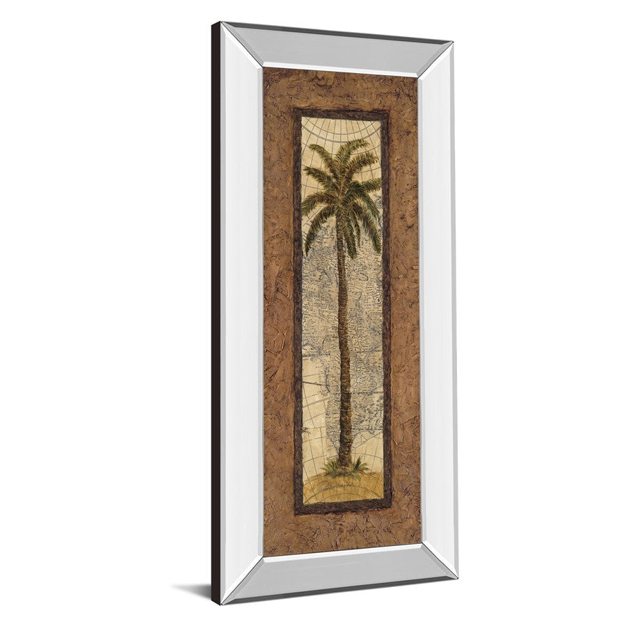 Classy Living Palm Terrain Study 18x42in Wall Art | Traditional Mirrored Frame with Palm Tree Map Artwork | Living Room & Office Decor | 18 | Model 1056MF