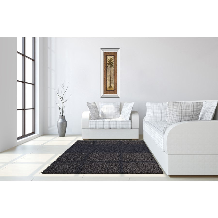 Classy Living Palm Terrain Study 18x42in Wall Art | Traditional Mirrored Frame with Palm Tree Map Artwork | Living Room & Office Decor | 18 | Model 1056MF