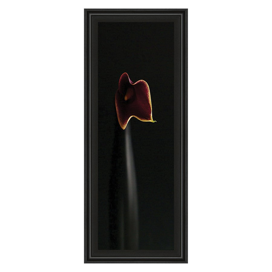 Classy Living Calla Elegance 42in Wall Art | Traditional Midnight Aura MDF Frame with Paper Print | Living Room & Bedroom Floral Decor | 18 x | Model 1123