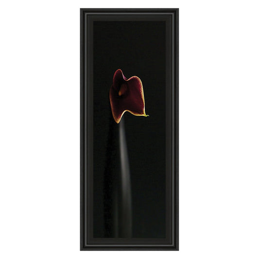 Classy Living Calla Elegance 42in Wall Art | Traditional Midnight Aura MDF Frame with Paper Print | Living Room & Bedroom Floral Decor | 18 x | Model 1123