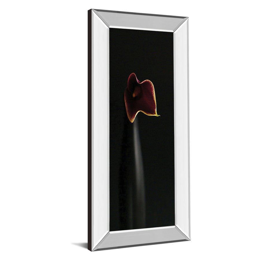 Classy Living Calla Elegance 42in Wall Art | Traditional Floral with Mirrored Frame | Living Room & Bedroom Decor | 18 x 42 x 3 in | Model 1123MF
