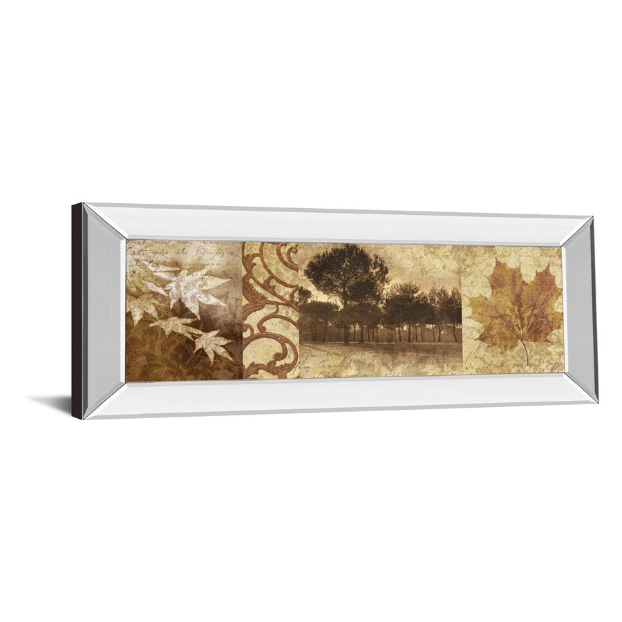 Classy Living Equinox Harmony 42x18in Wall Art | Transitional Mirrored Frame | Living Room & Bedroom Decor | 42 x 18 x 3 in | Model 1136MF